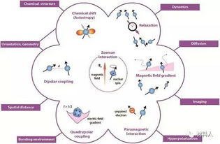 固体核磁共振技术解析功能性纳米材料的表面与界面化学